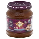 PATAK MANGO CHUTNEY HOT 12OZ(03/25)